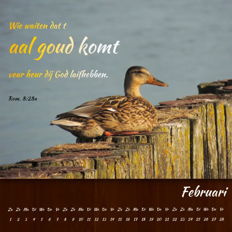 15x15 Gronings 2025_3